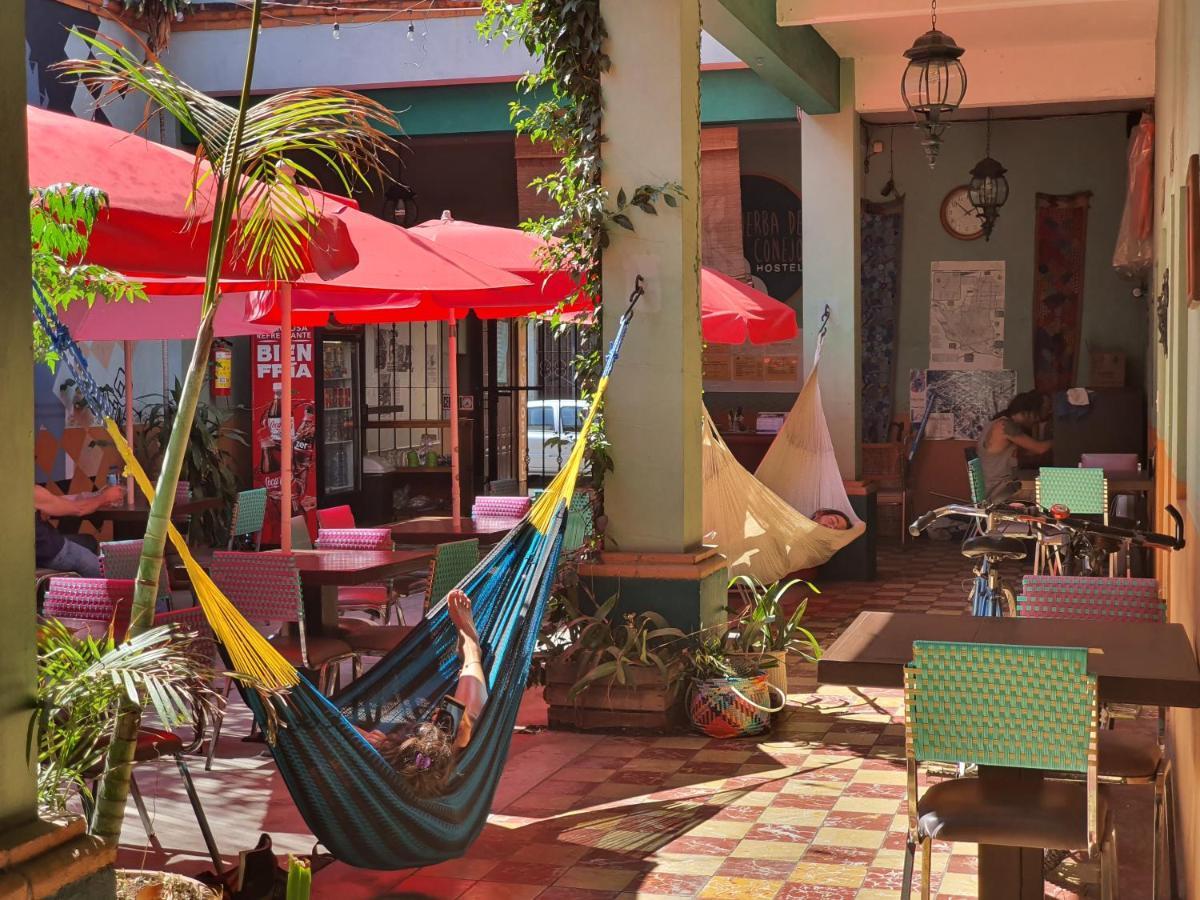 Hierba De Conejo Hostel Oaxaca Exterior foto