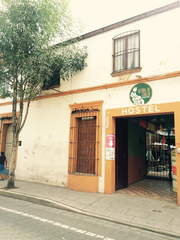 Hierba De Conejo Hostel Oaxaca Exterior foto