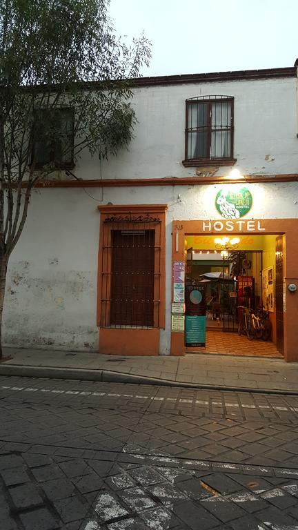Hierba De Conejo Hostel Oaxaca Exterior foto